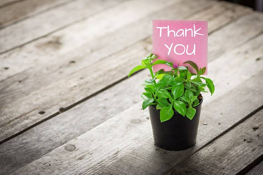 Thank You